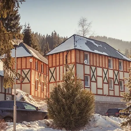 3 Domky 3* Демяновская долина